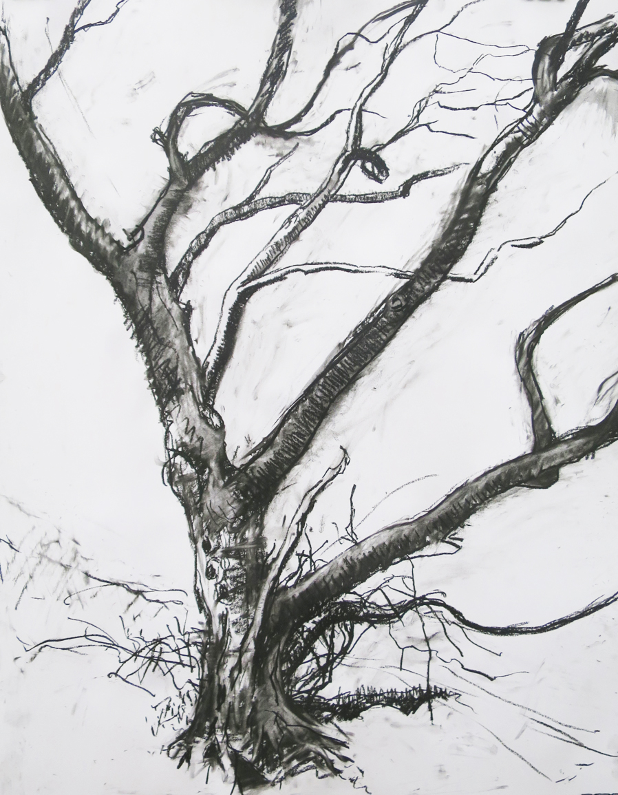 Lockdown Trees